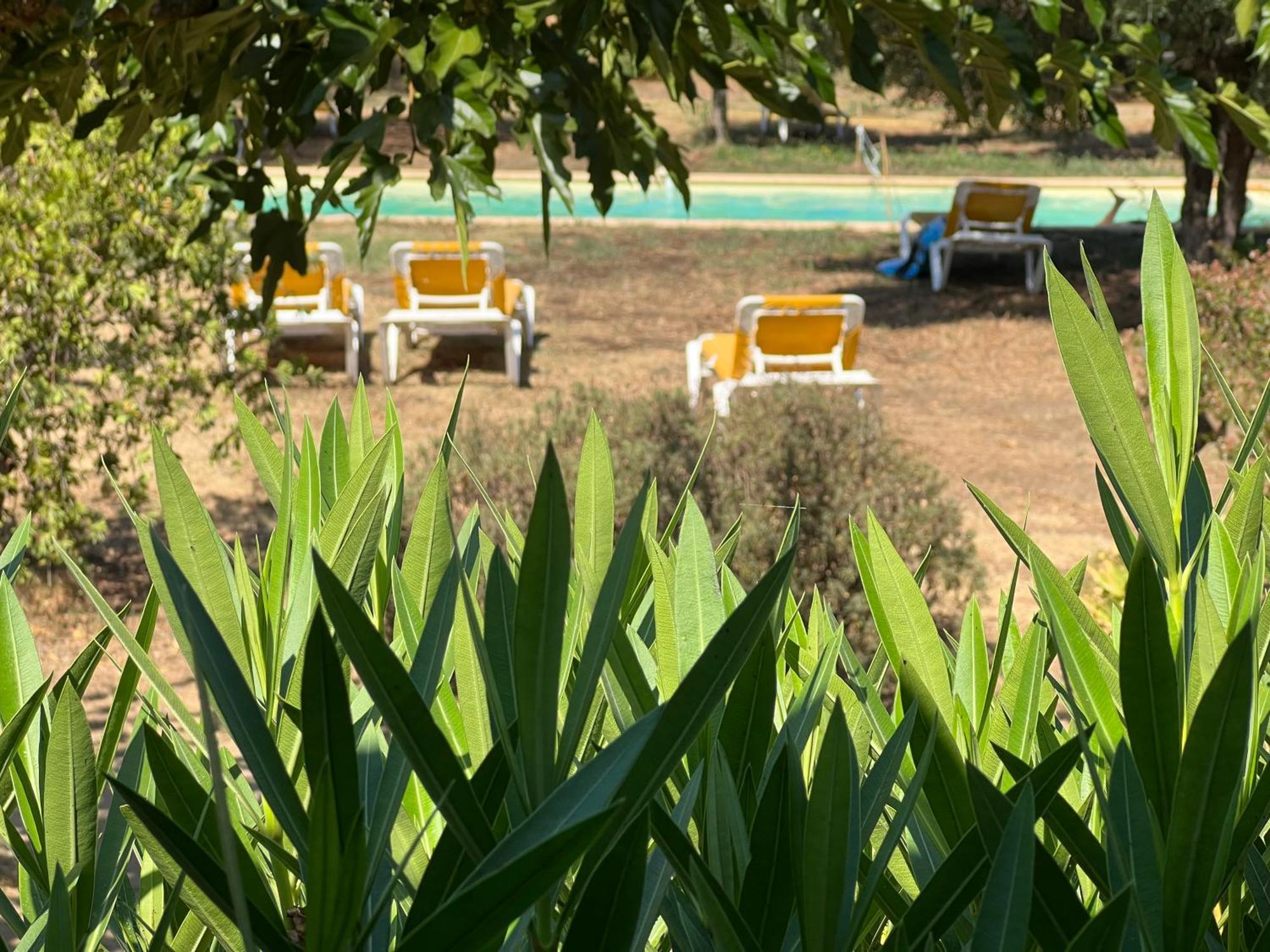 Gite Au Paradis, Parc Animalier Olmeta-di-Tuda Luaran gambar
