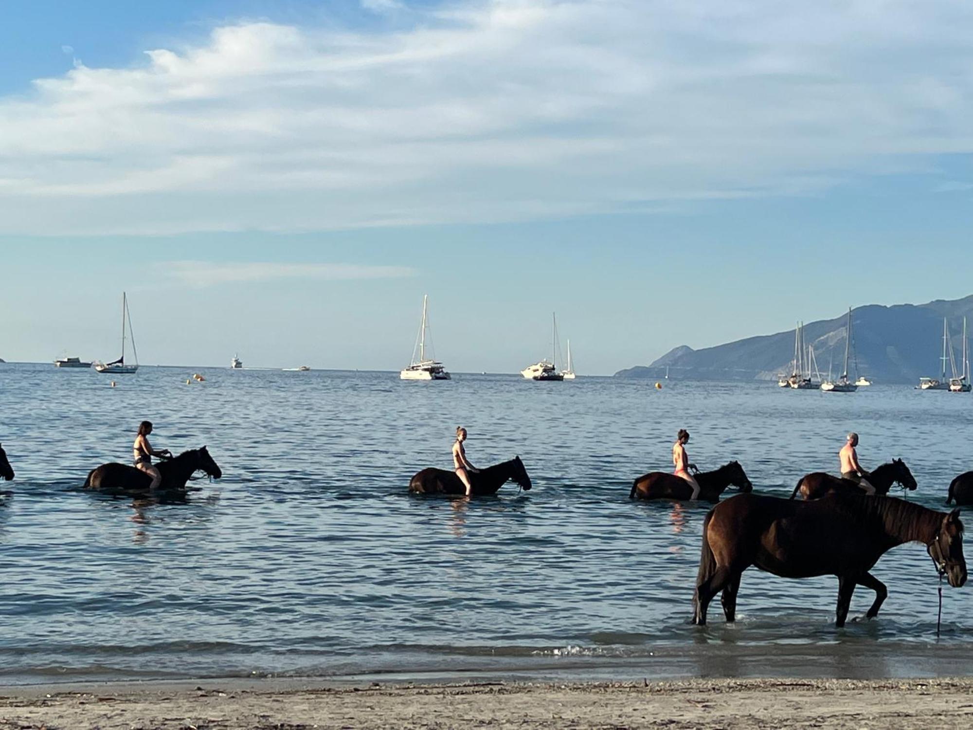 Gite Au Paradis, Parc Animalier Olmeta-di-Tuda Luaran gambar